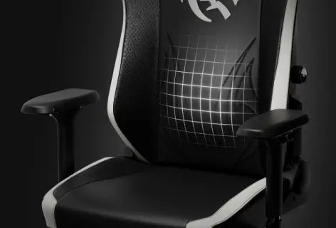 <p>Integrated Dynamic Lumbar Support</p>