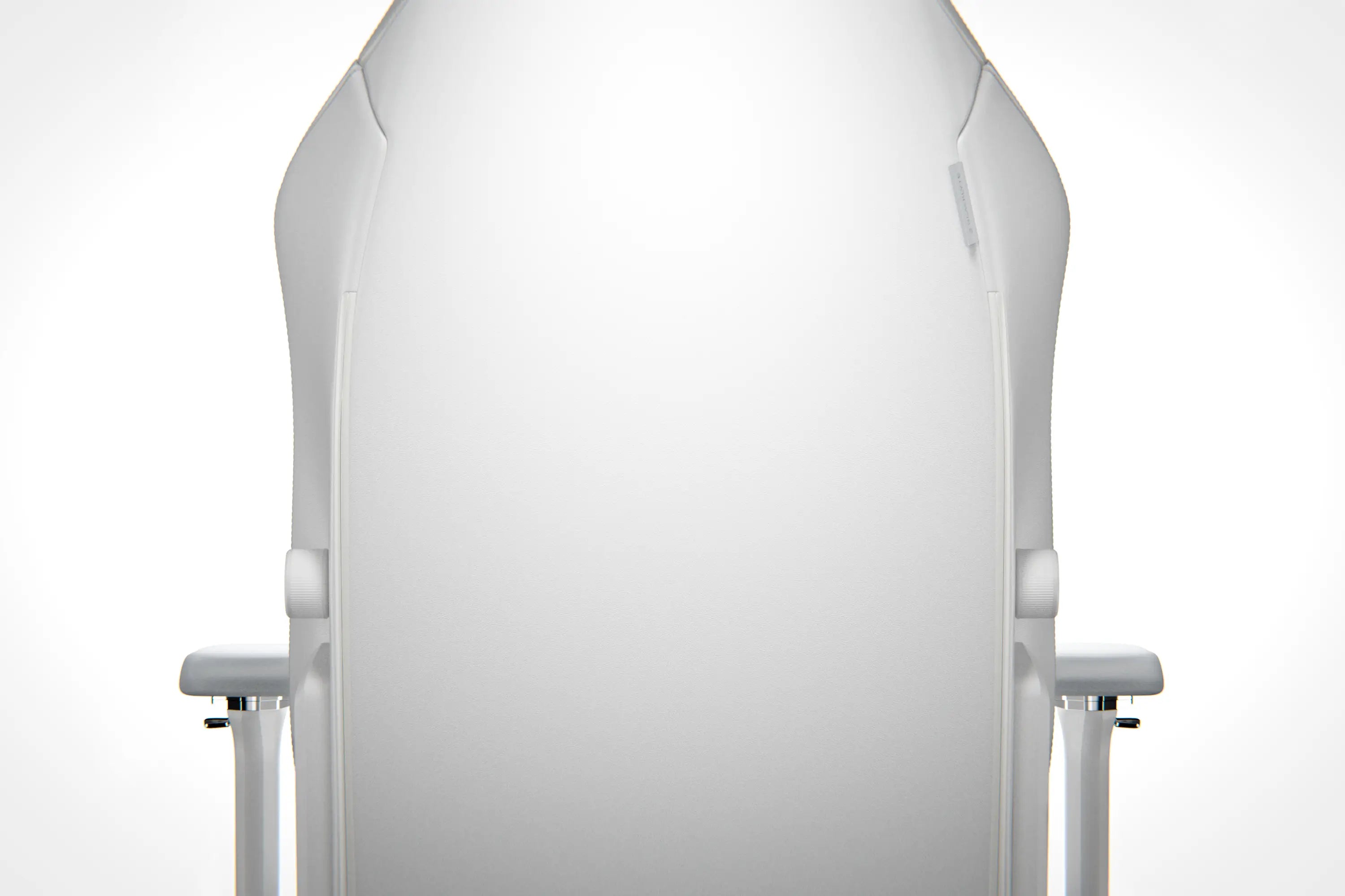 Back View of Blacklyte Athena Pro Ergonomic Gaming Chair