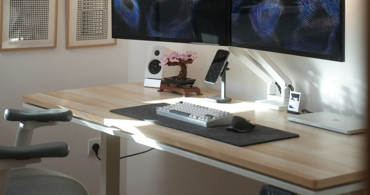 Blacklyte Electric Standing Desk in Modern Home Office