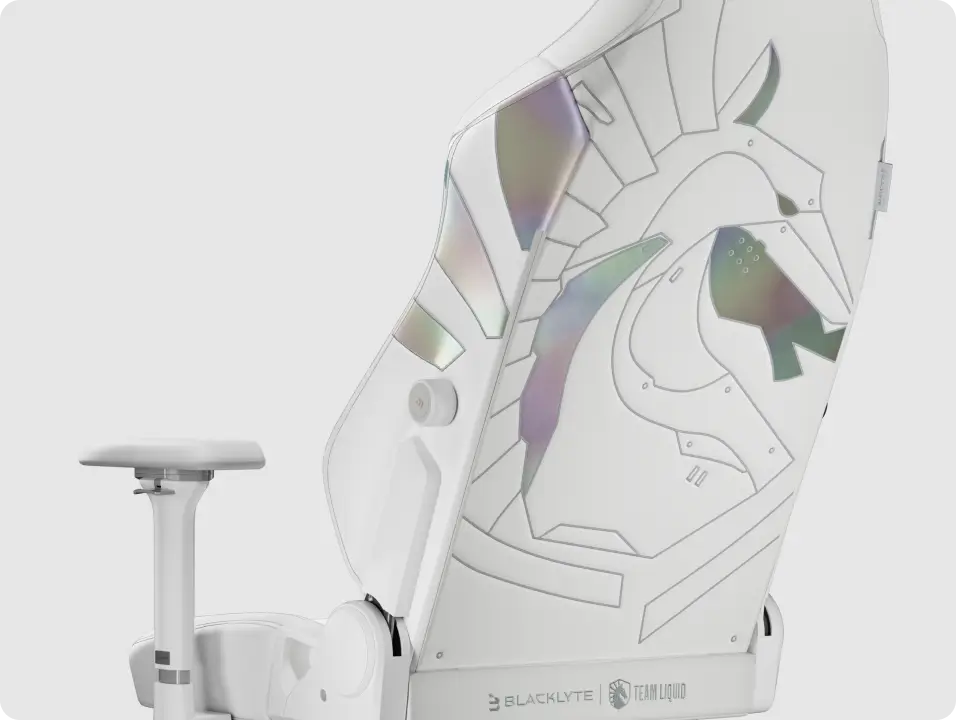 Adjustable Liquid gaming chair with lumbar support for gamers